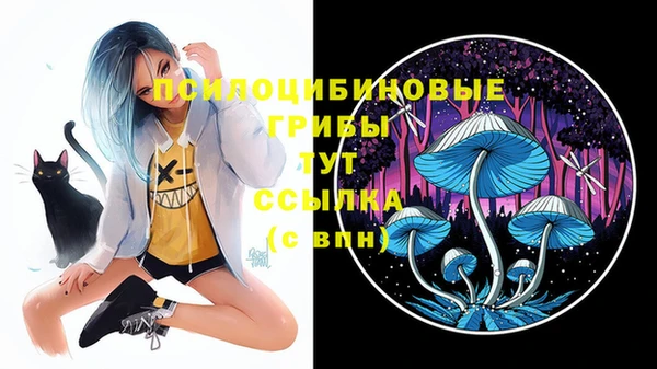 экстази Михайловка