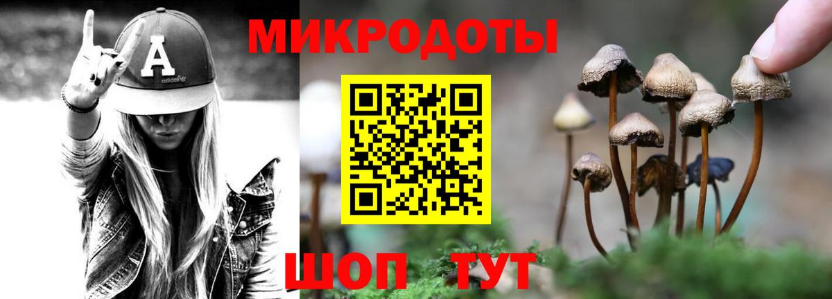 Псилоцибиновые грибы Cubensis  Бийск  Псилоцибиновые грибы Magic Shrooms 