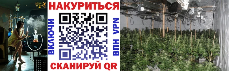 Бошки Шишки VHQ  купить наркотик  Бийск 